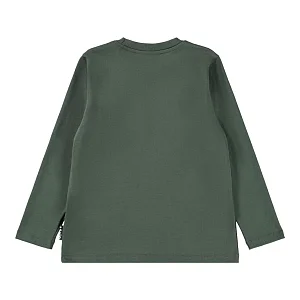 футболка для мальчика MOLO 1451982