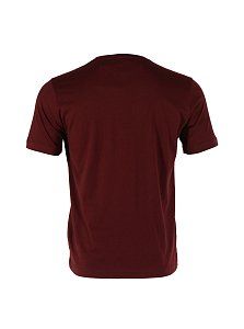 футболка мужская PAL ZILERI 1438970